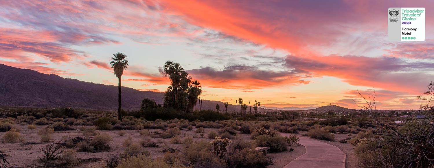 Harmony Motel near Joshua Tree National Park is home away from home