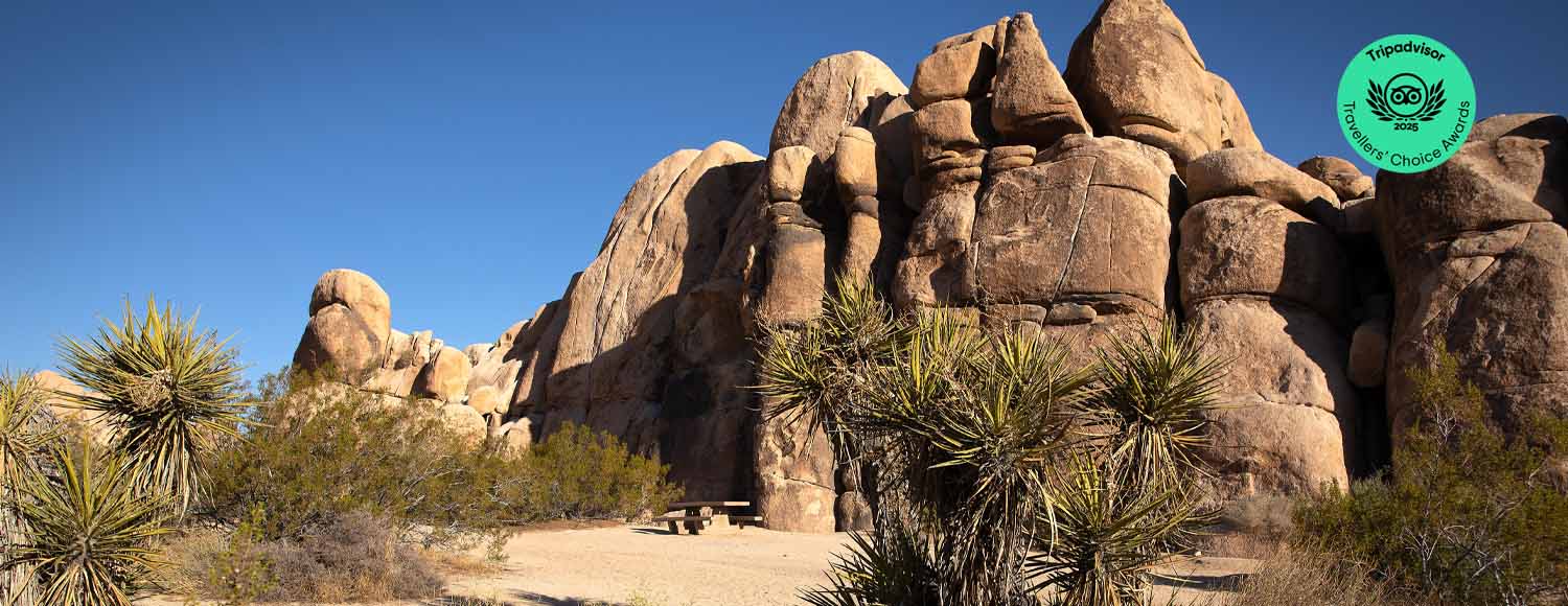 harmony-banner-2025_3