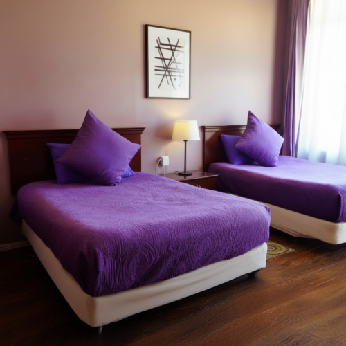 Big horn room