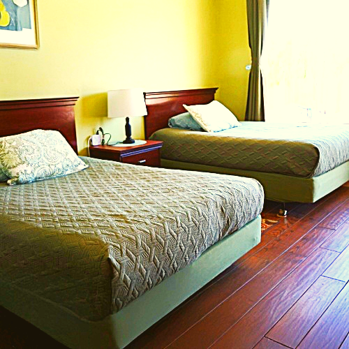 Tortise room