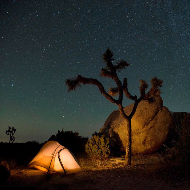 Stargazing Joshua Tree