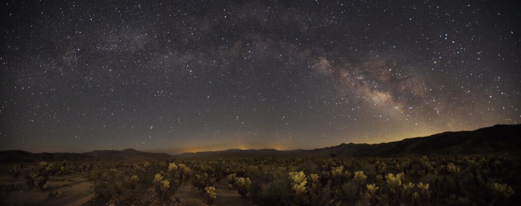Joshua Tree Night Sky
